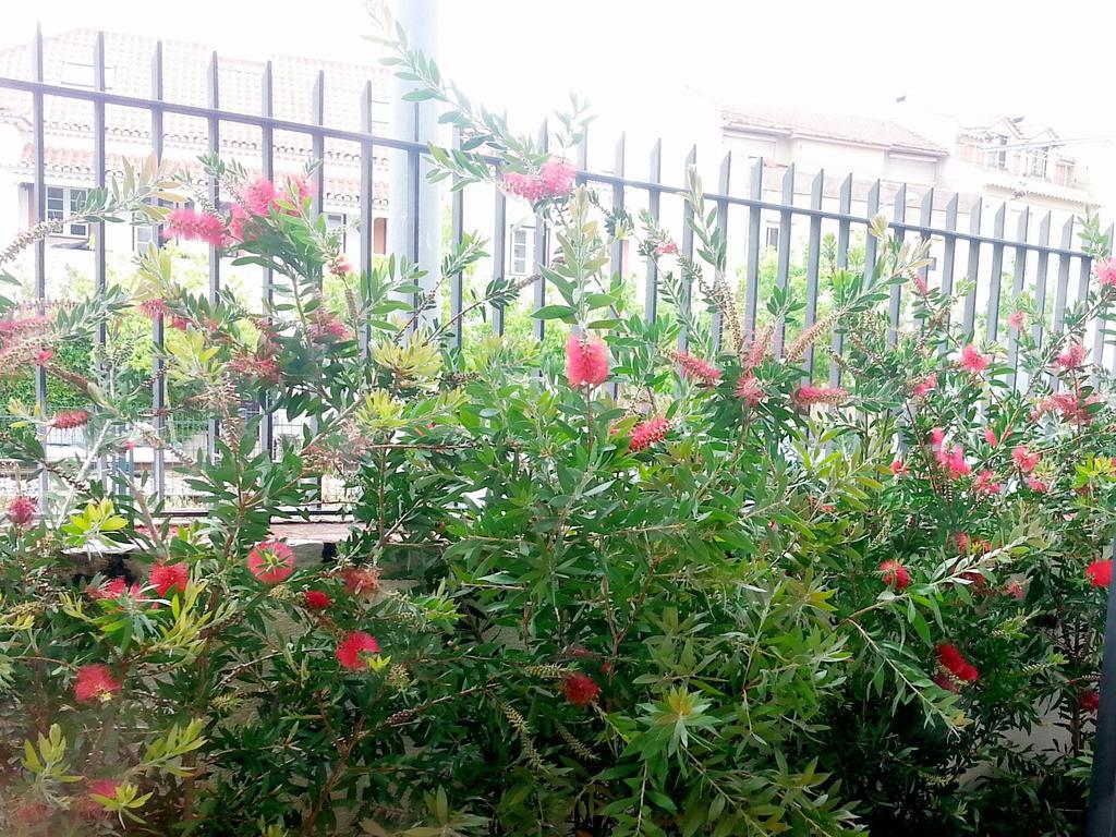 Bonvalot Guest House Paco de Arcos Ngoại thất bức ảnh